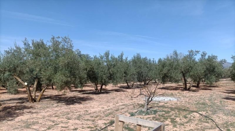 Granada - Albolote - 4357m2