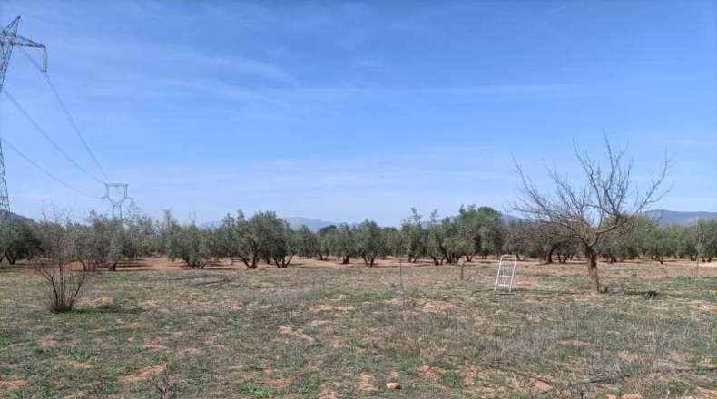 Granada - Albolote - 4357m2
