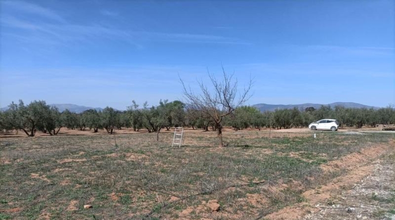 Granada - Albolote - 4357m2