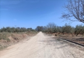 Xalet independent amb terreny en venda a la España, Albolote, ref.: TR277497 foto