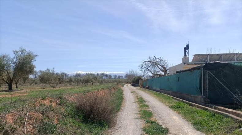 Granada - Albolote - 4357m2