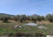 Xalet independent amb terreny en venda a la España, Albolote, ref.: TR277497 foto