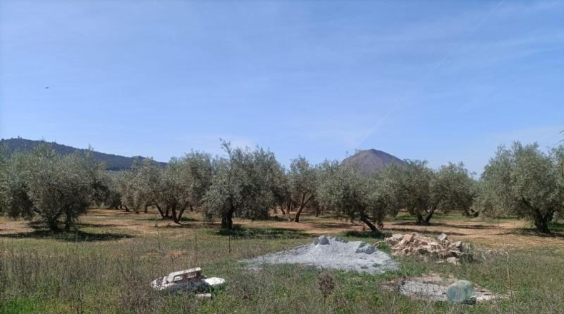 Granada - Albolote - 4357m2