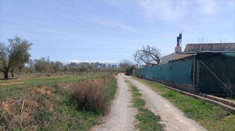 Granada - Albolote - 4357m2