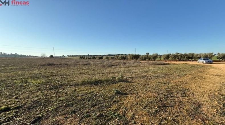 Seville - Carmona - 16461m2