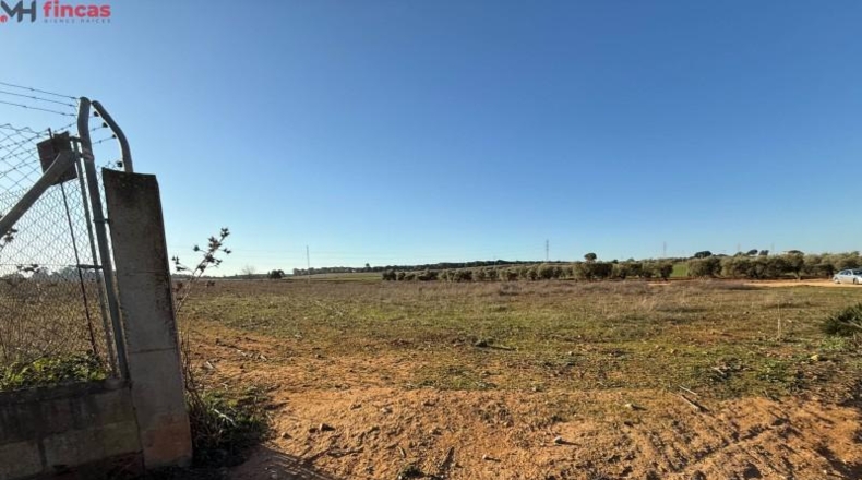 Seville - Carmona - 16461m2