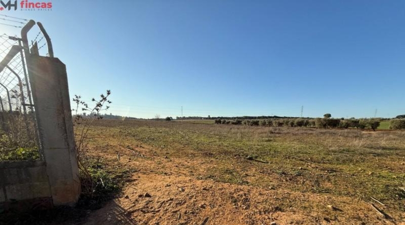 Seville - Carmona - 16461m2