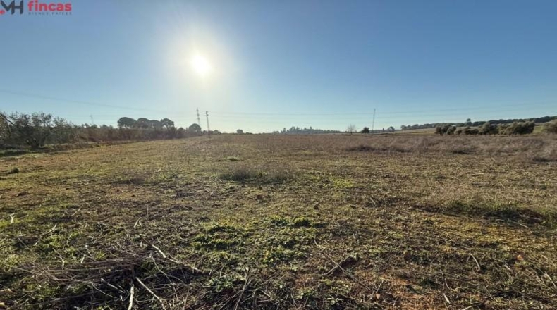 Seville - Carmona - 16461m2