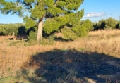 Terreno no urbanizable en venta en la España, Reus, ref: TR127010 foto
