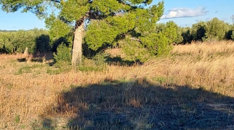 Tarragona - Reus - 10928m2
