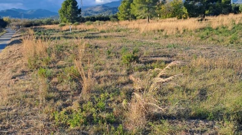 Tarragona - Reus - 10928m2