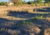 Terreno no urbanizable en venta en la España, Reus, ref: TR127010 foto