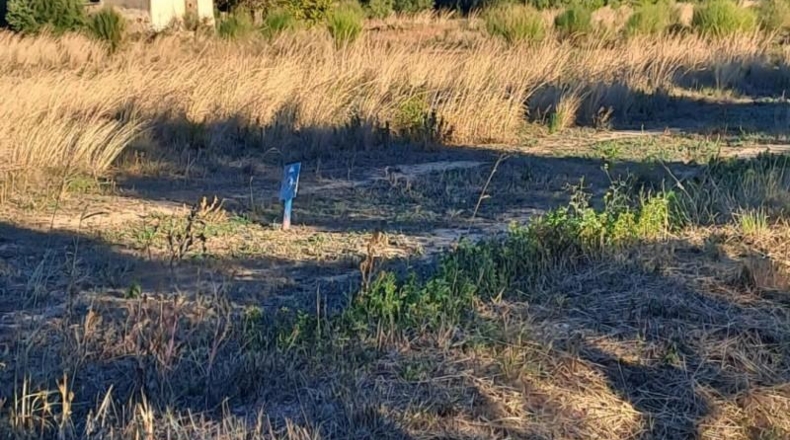Tarragona - Reus - 10928m2