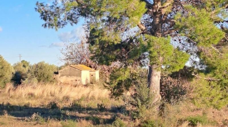 Tarragona - Reus - 10928m2