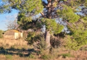 Terreno no urbanizable en venta en la España, Reus, ref: TR127010 foto