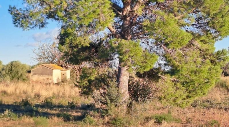 Tarragona - Reus - 10928m2