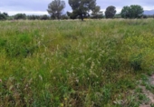 Terreno no urbanizable en venta en la España, Reus, ref: TR127010 foto