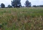 Terreno no urbanizable en venta en la España, Reus, ref: TR127010 foto