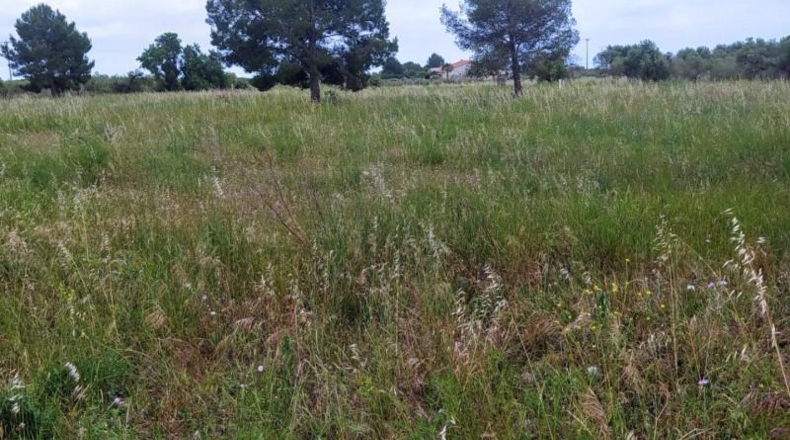 Tarragona - Reus - 10928m2