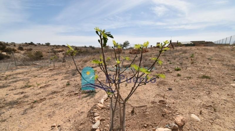 Murcia - Тотана - 2021m2