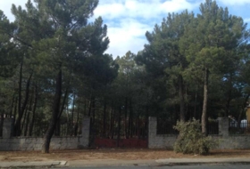 Terradillos 1000&nbsp;m² 