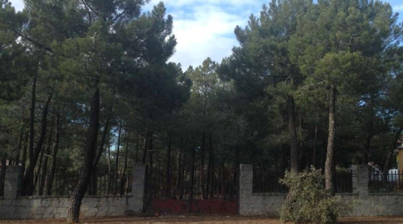 Salamanca - Terradillos - 1000m2