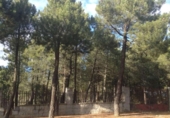 Sòl urbà en venda a la España, Terradillos, ref.: TR373089 foto
