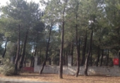 Sòl urbà en venda a la España, Terradillos, ref.: TR373089 foto