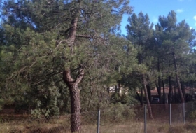 Terradillos 1000&nbsp;m² 