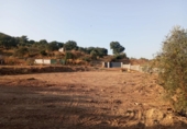 Terreny no urbanitzable en venda a la España, Còrdova, ref.: TR241463 foto