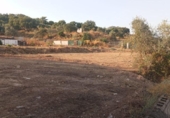 Terreny no urbanitzable en venda a la España, Còrdova, ref.: TR241463 foto