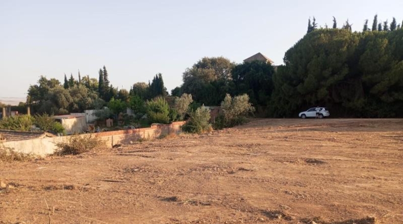Córdoba - Córdoba - 1500m2