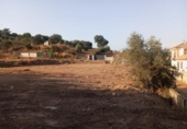 Terreny no urbanitzable en venda a la España, Còrdova, ref.: TR241463 foto