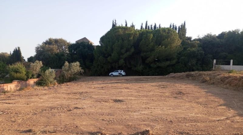 Córdoba - Córdoba - 1500m2