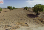 Terreny no urbanitzable en venda a la España, Lorca, ref.: TR115915 foto