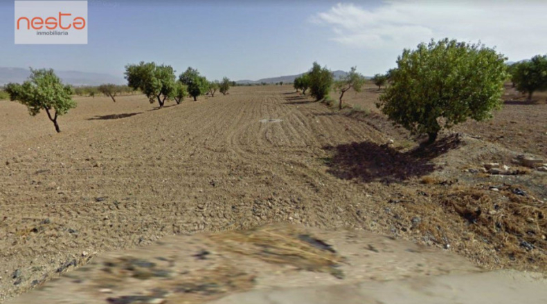 Múrcia - Lorca - 5005m2