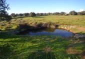 Land suitable for development for sale on España, Malpartida de Plasencia, ref: TR126420 photo