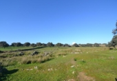 Land suitable for development for sale on España, Malpartida de Plasencia, ref: TR126420 photo