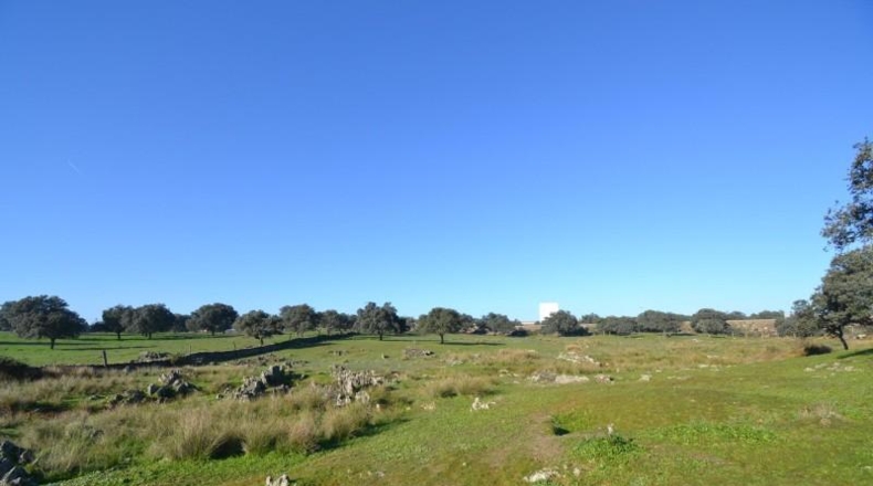Cáceres - Malpartida de Plasencia - 82500m2
