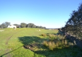 Land suitable for development for sale on España, Malpartida de Plasencia, ref: TR126420 photo