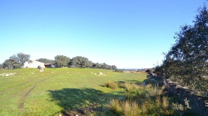 Cáceres - Malpartida de Plasencia - 82500m2