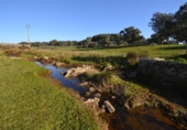 Land suitable for development for sale on España, Malpartida de Plasencia, ref: TR126420 photo