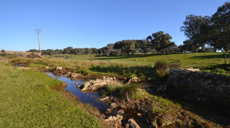 Cáceres - Malpartida de Plasencia - 82500m2
