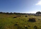 Land suitable for development for sale on España, Malpartida de Plasencia, ref: TR126420 photo