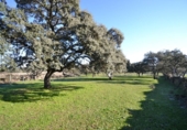 Land suitable for development for sale on España, Malpartida de Plasencia, ref: TR126420 photo