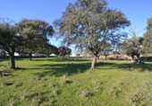 Land suitable for development for sale on España, Malpartida de Plasencia, ref: TR126420 photo