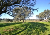 Land suitable for development for sale on España, Malpartida de Plasencia, ref: TR126420 photo