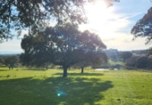 Land suitable for development for sale on España, Malpartida de Plasencia, ref: TR126420 photo