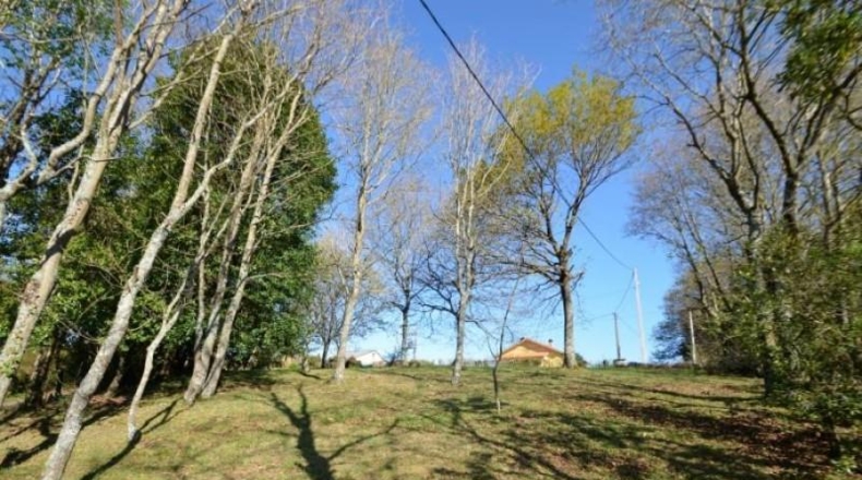 La Coruna - A Laracha - 2324m2