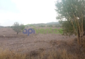 Parcel·la urbanitzable en venda a la España, Albox, ref.: TR126178 foto